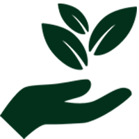Herbal Stevia