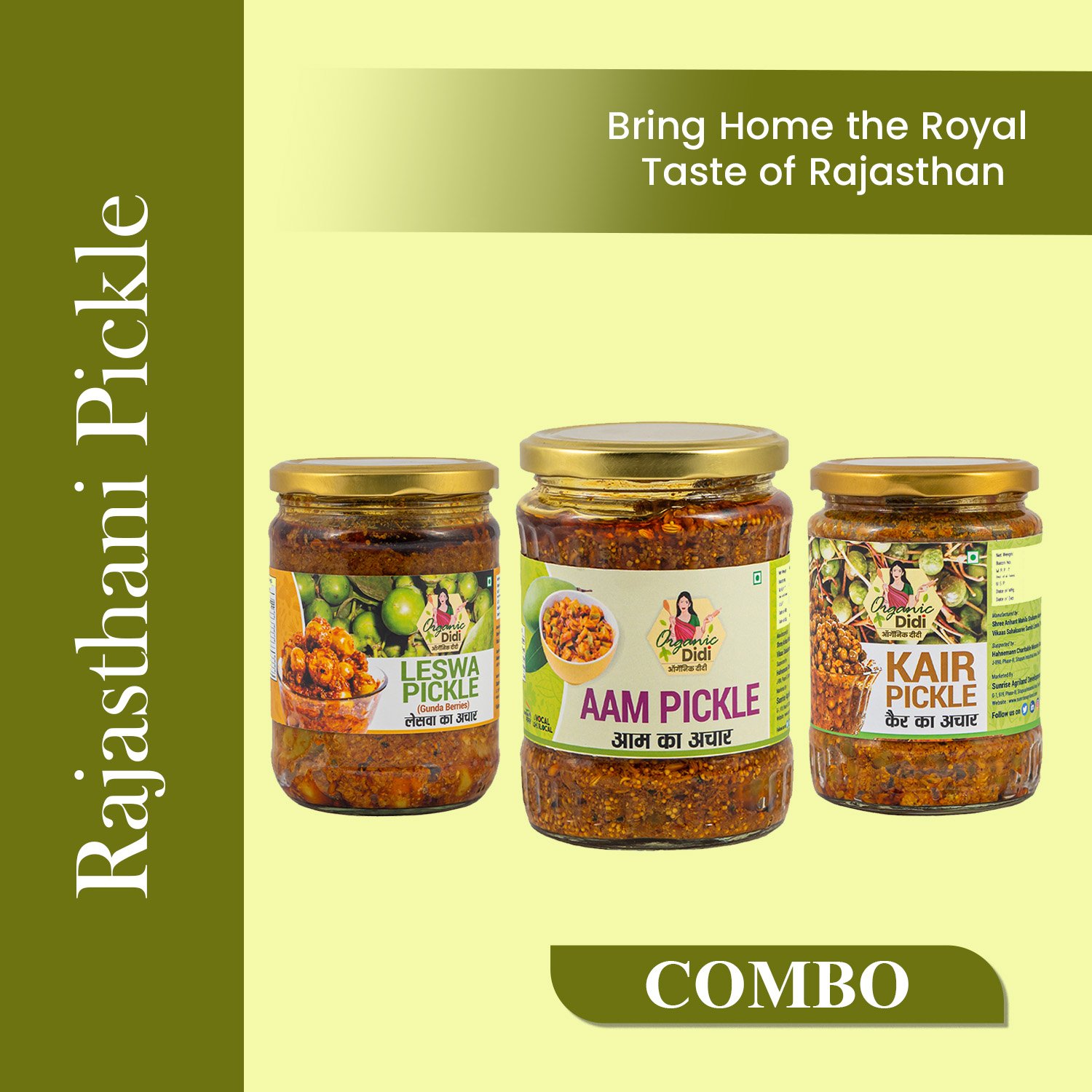 Rajasthani Pickle Combo – Leswa Pickle, Aam Pickle & Kair Pickle | Sunrise Agriland