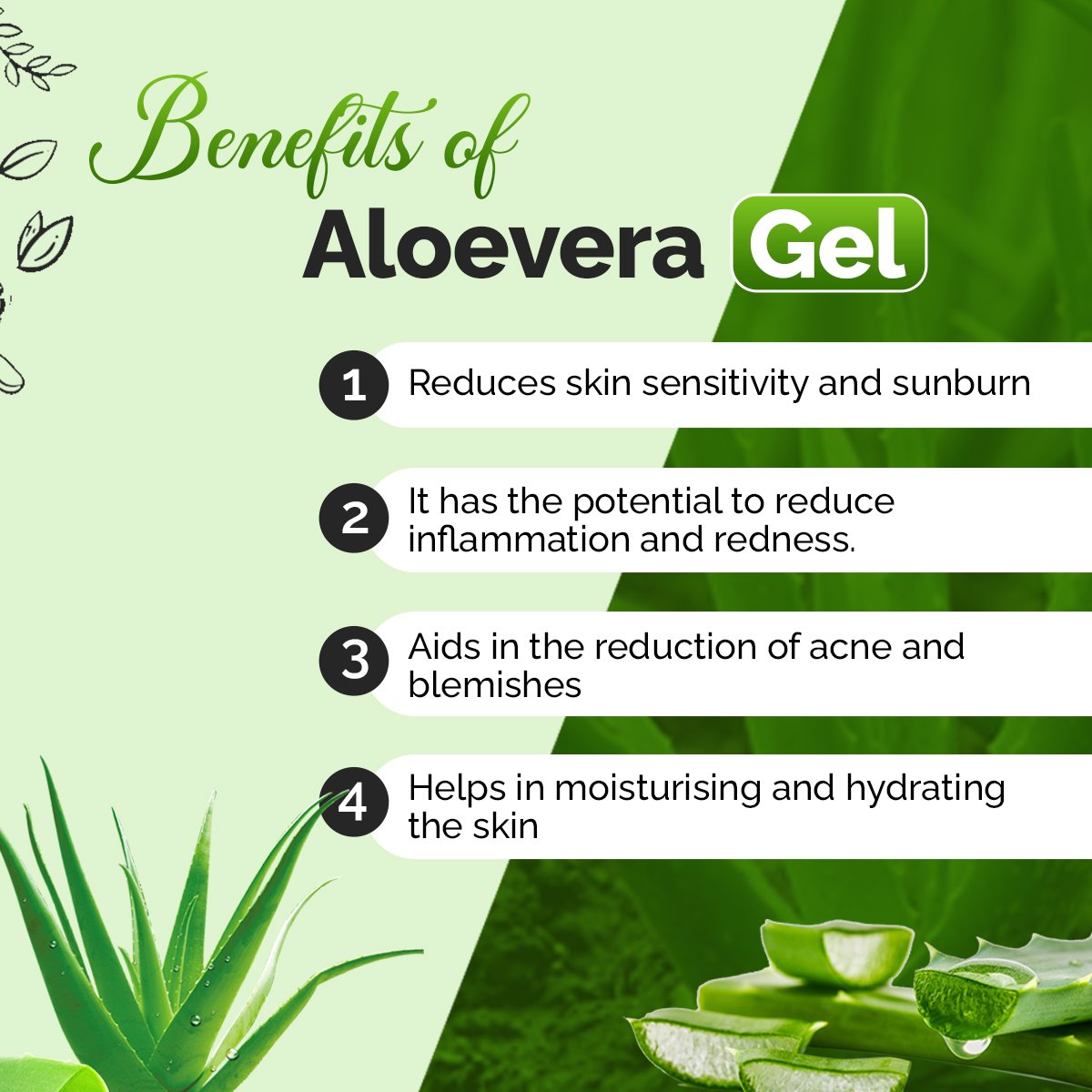 Aloe Vera Gel – Skin Hydration & Natural Glow | Sunrise Agriland
