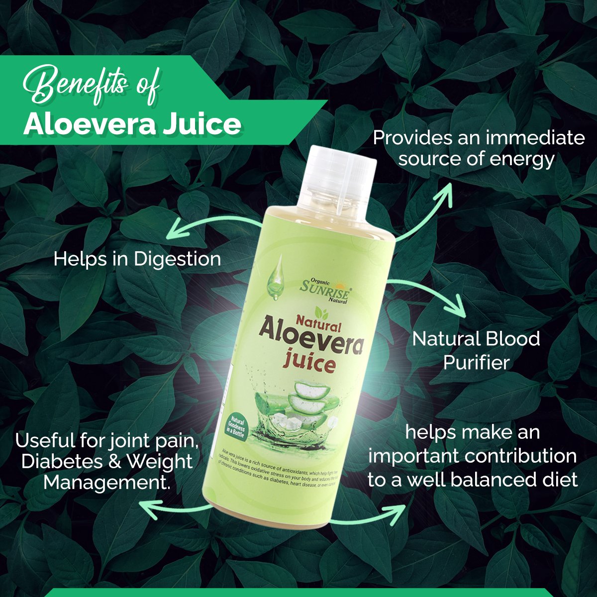 Aloe Vera Juice – Natural Detox Drink for Digestion, Skin & Immunity | Sunrise Agriland