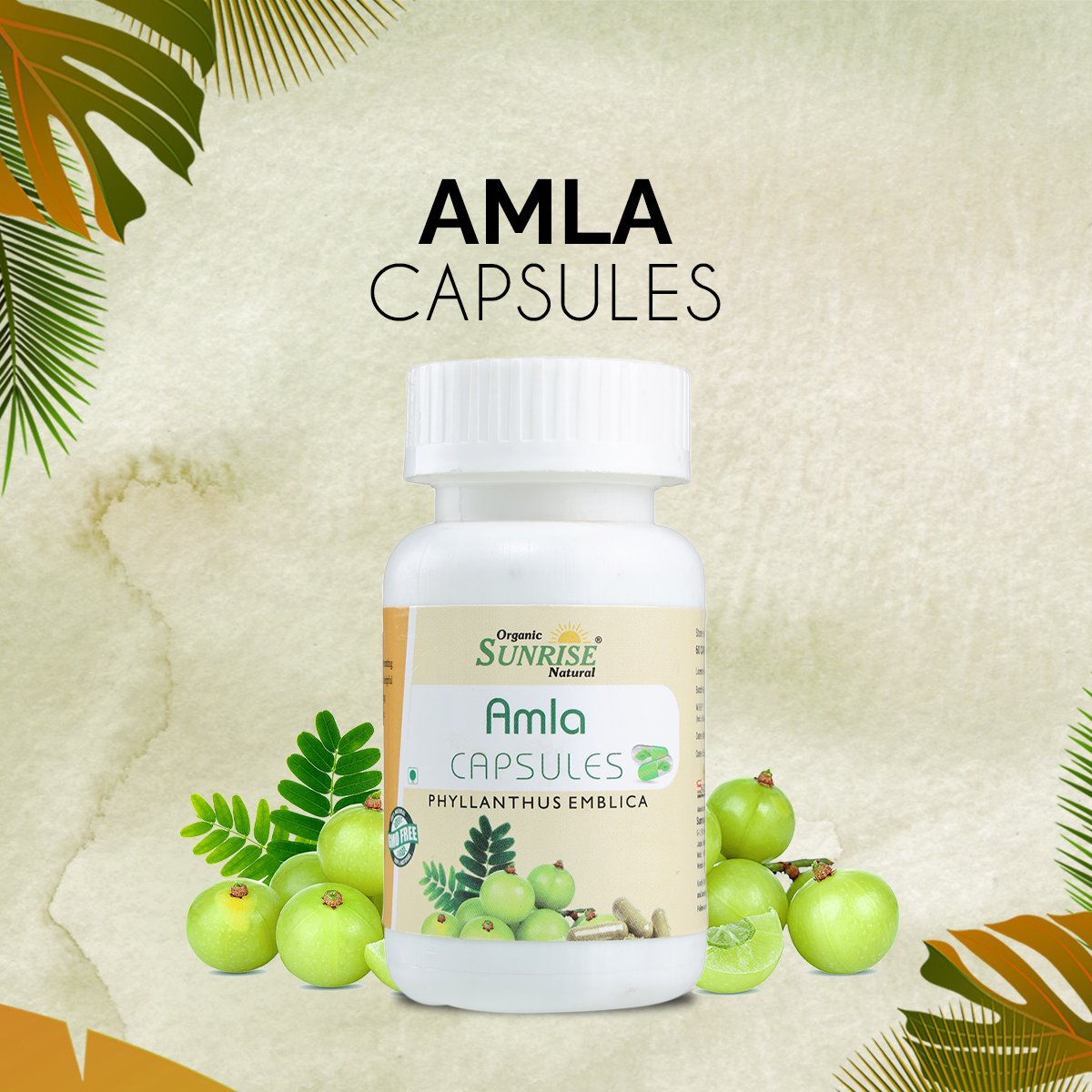 Amla Capsules – Natural Vitamin C for Immunity, Skin Glow & Hair Strength | Sunrise Agriland