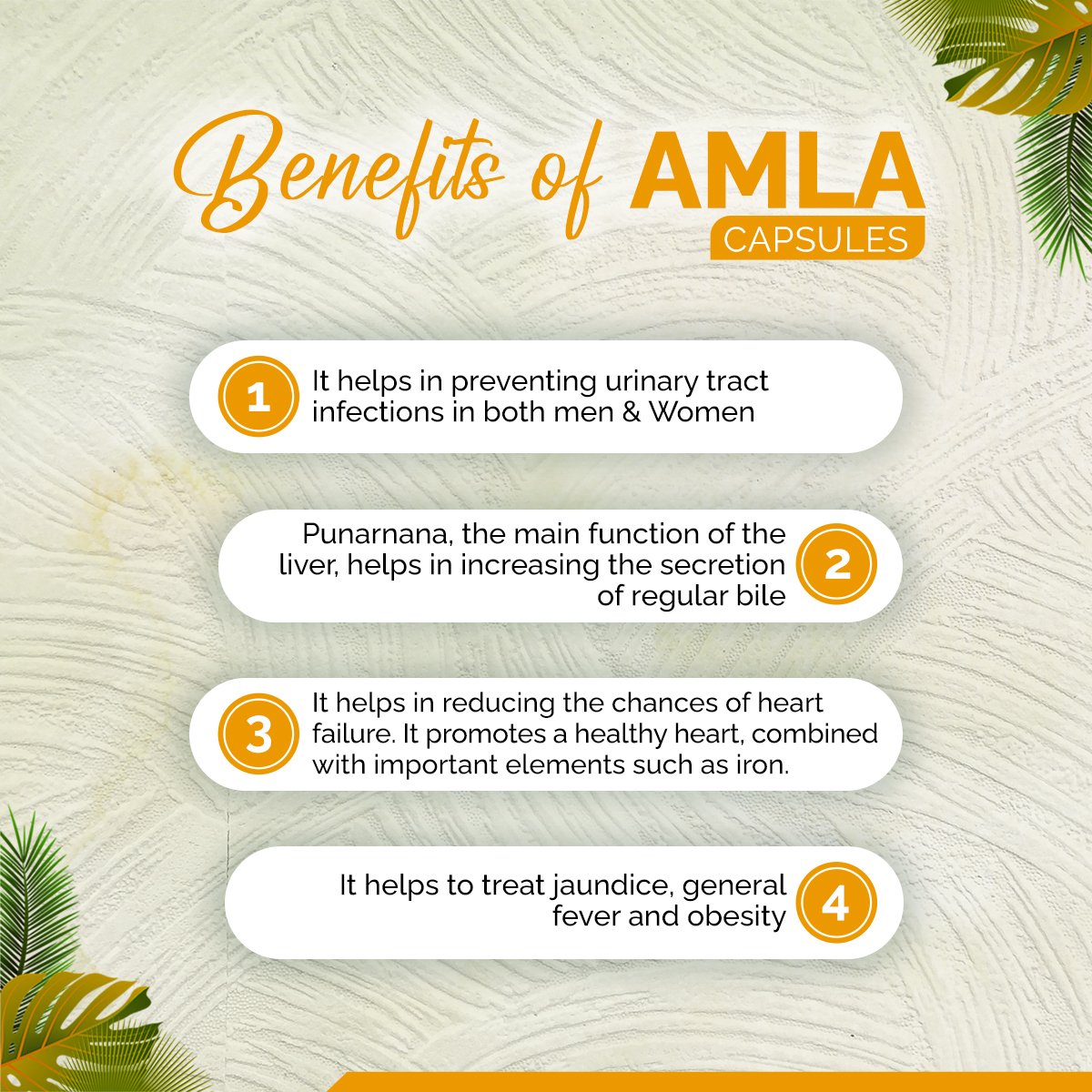 Amla Capsules – Natural Vitamin C for Immunity, Skin Glow & Hair Strength | Sunrise Agriland