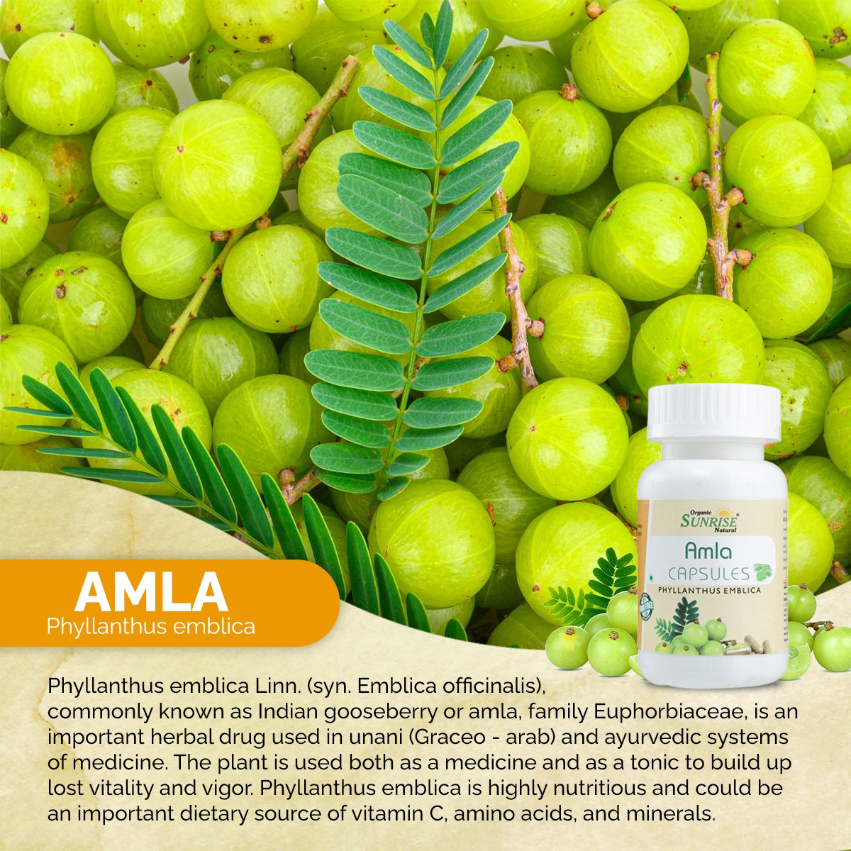 Amla Capsules – Natural Vitamin C for Immunity, Skin Glow & Hair Strength | Sunrise Agriland