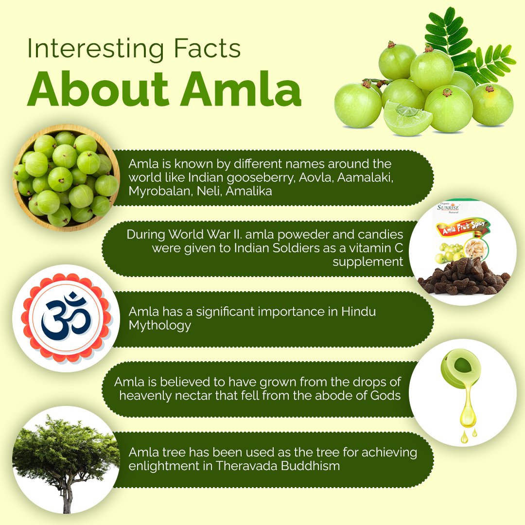 Amla Fruit Spicy Candy – Chatpata Healthy Snack for Digestion & Immunity | Sunrise Agriland