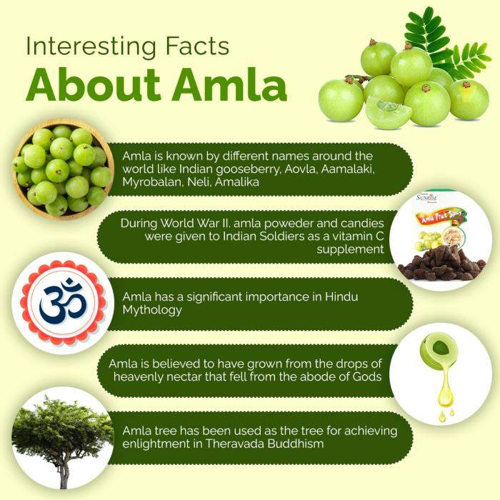Amla Fruit Spicy Candy