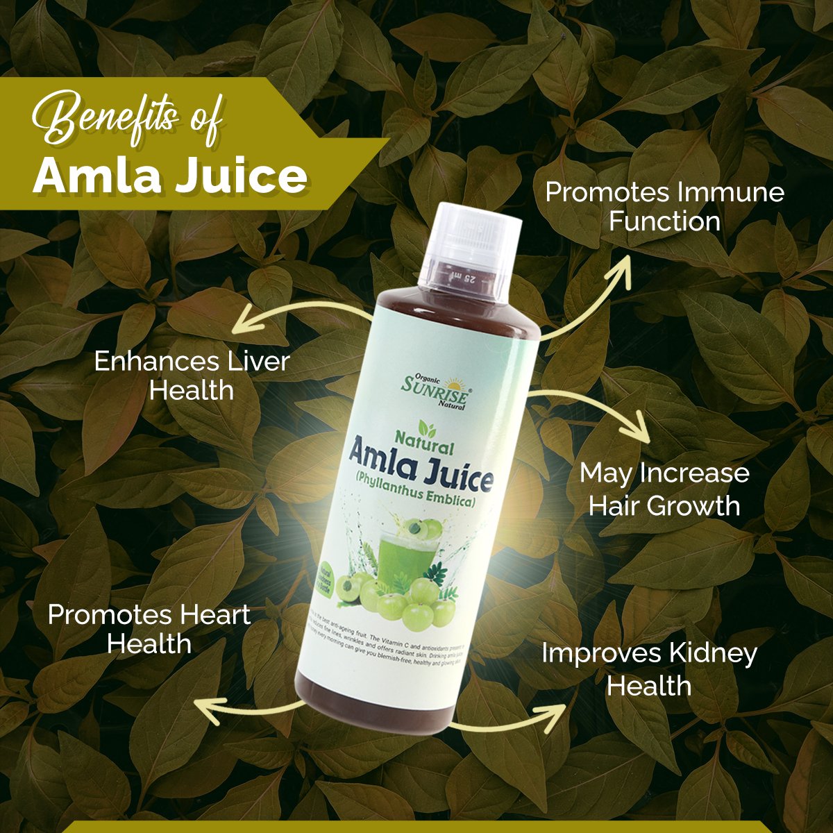 Amla Juice – Natural Immunity Booster for Skin, Hair & Digestion | Sunrise Agriland