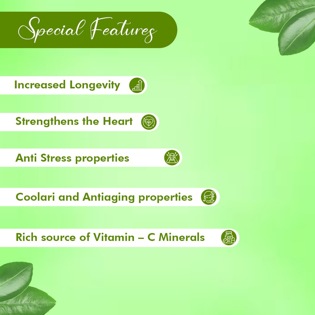 Amla Powder – Ayurvedic Superfood for Immunity, Hair & Digestion | Sunrise Agriland