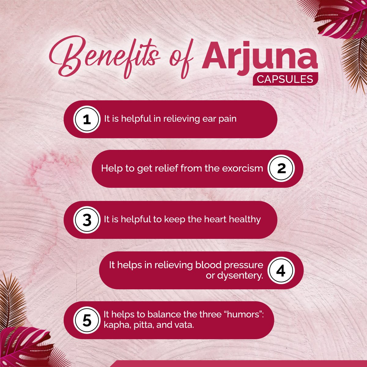 Arjuna Capsules – Ayurvedic Heart Health, Cholesterol & Blood Pressure Support | Sunrise Agriland