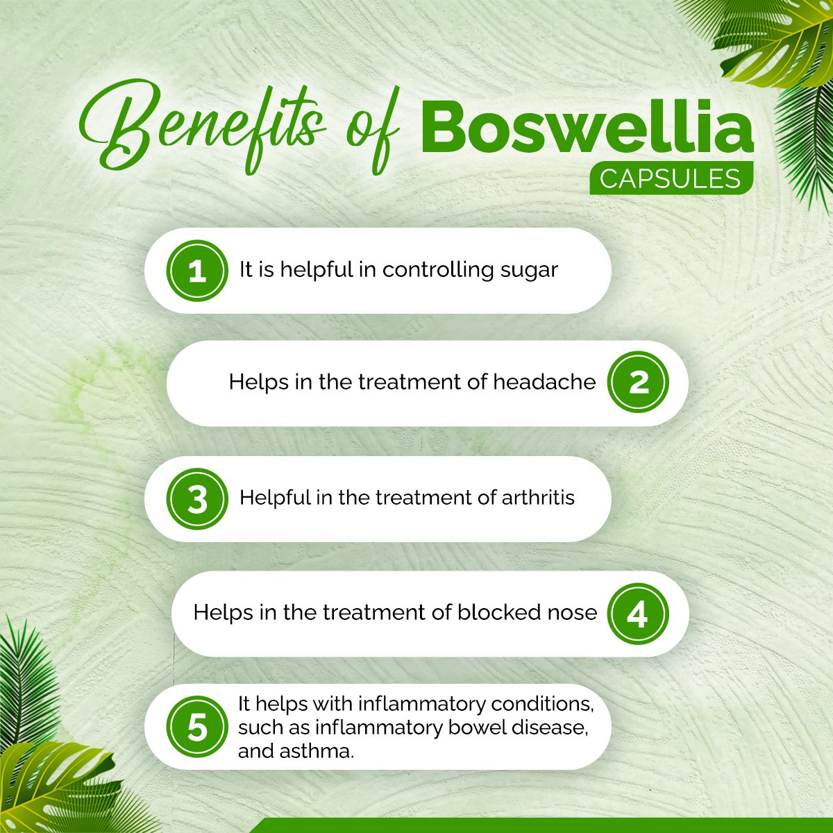 Boswellia Capsules – Joint Pain Relief, Inflammation Support & Mobility Booster | Sunrise Agriland