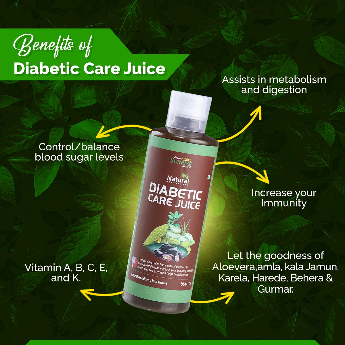 Diabetic Care Juice – Ayurvedic Blood Sugar Support Drink for Detox & Wellness | Sunrise Agriland