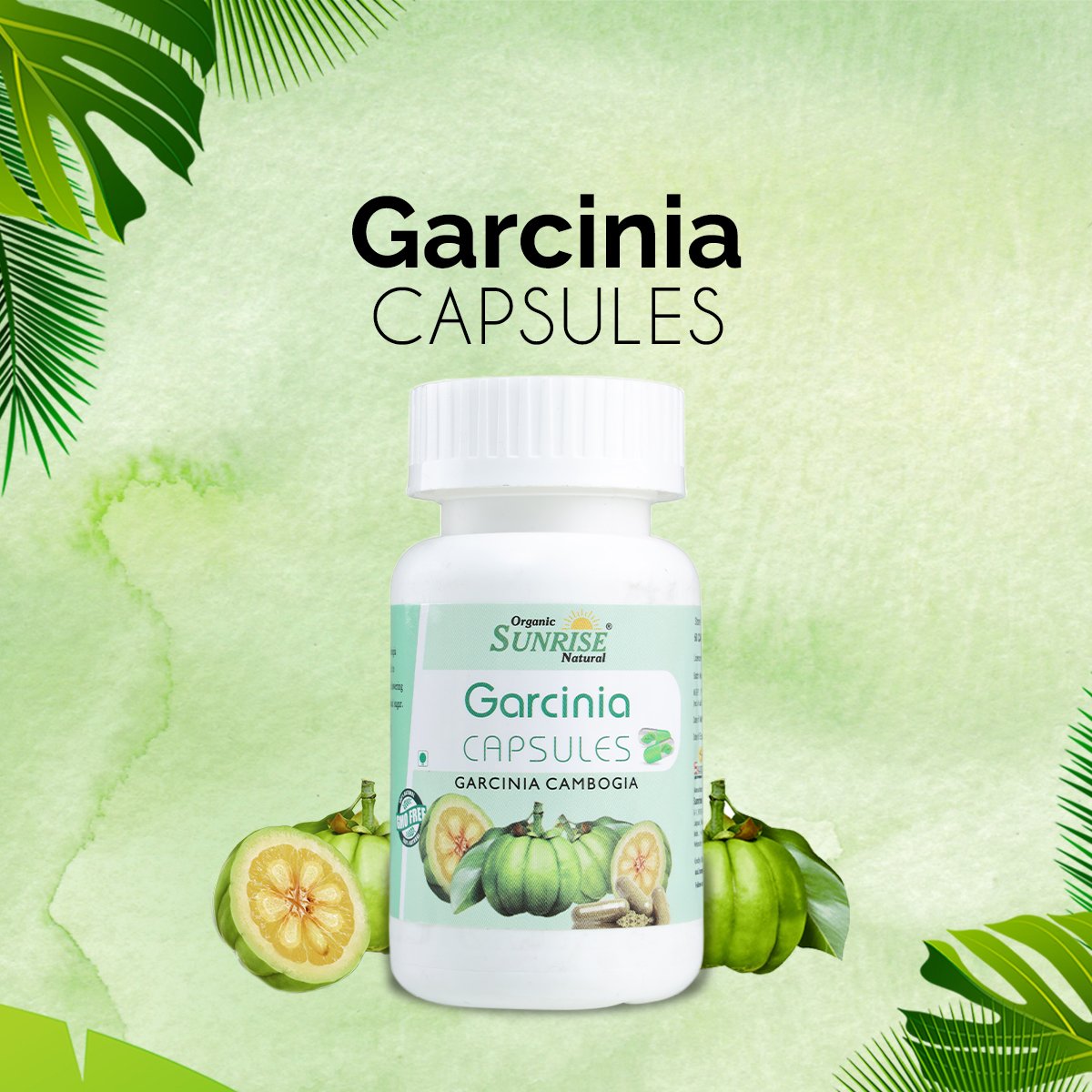 Garcinia Capsules – Weight Management, Appetite Control & Metabolism Support | Sunrise Agriland