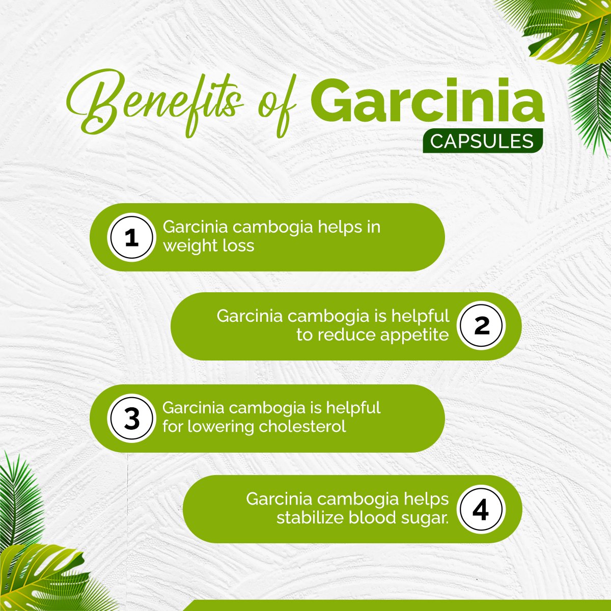 Garcinia Capsules – Weight Management, Appetite Control & Metabolism Support | Sunrise Agriland