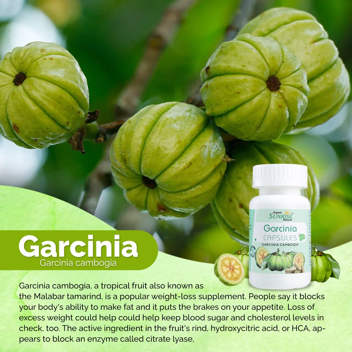 Garcinia Capsules – Weight Management, Appetite Control & Metabolism Support | Sunrise Agriland