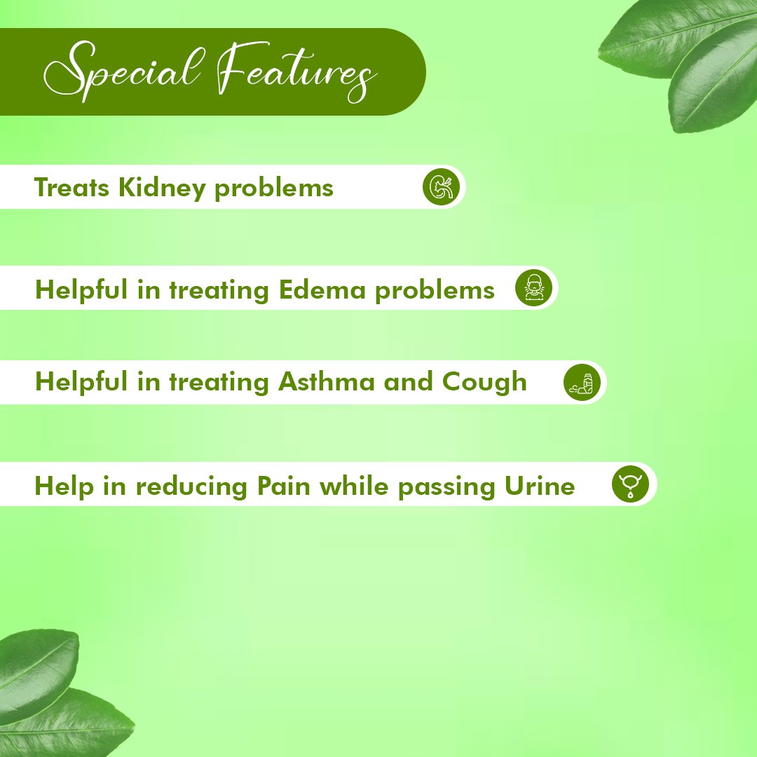 Gokshur Powder – Kidney & Urinary Wellness + Stamina Support | Sunrise Agriland