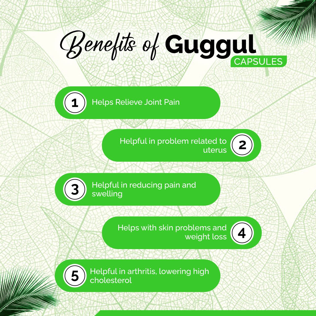Guggul Capsules – Cholesterol Support, Joint Care & Metabolism Booster | Sunrise Agriland