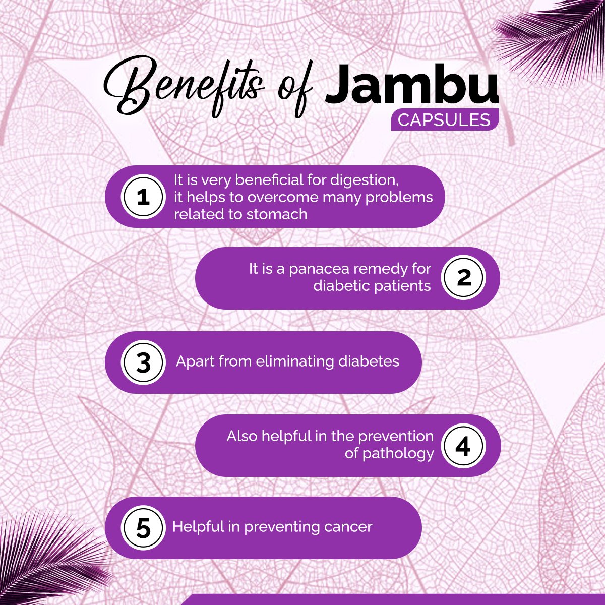 Jamun Capsules – Blood Sugar Management & Digestive Support | Sunrise Agriland