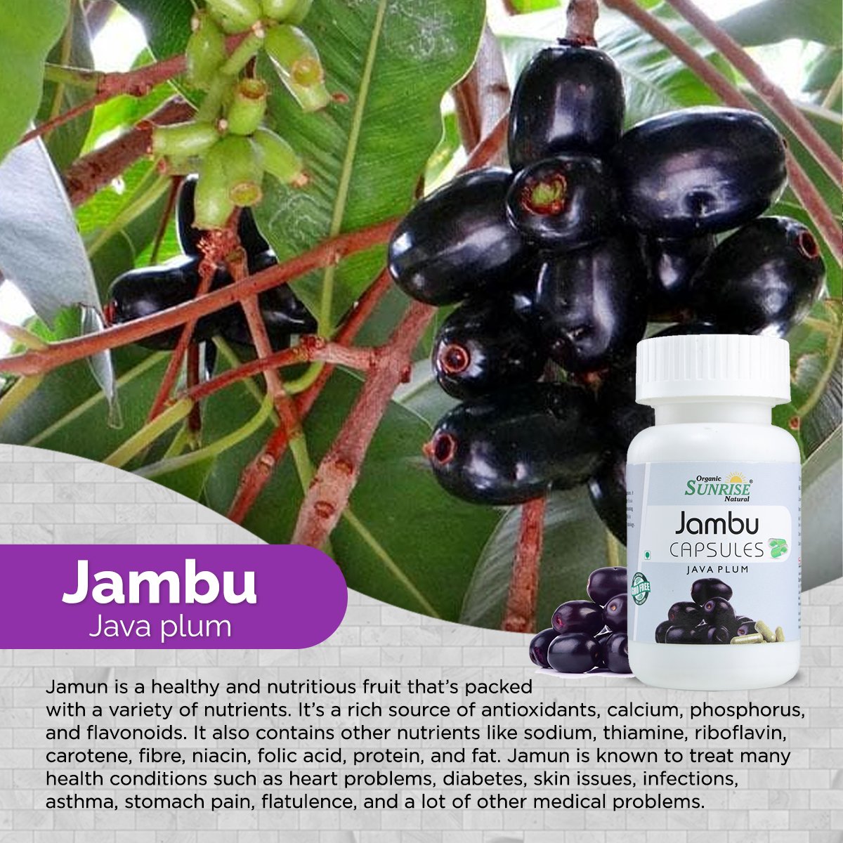 Jamun Capsules – Blood Sugar Management & Digestive Support | Sunrise Agriland