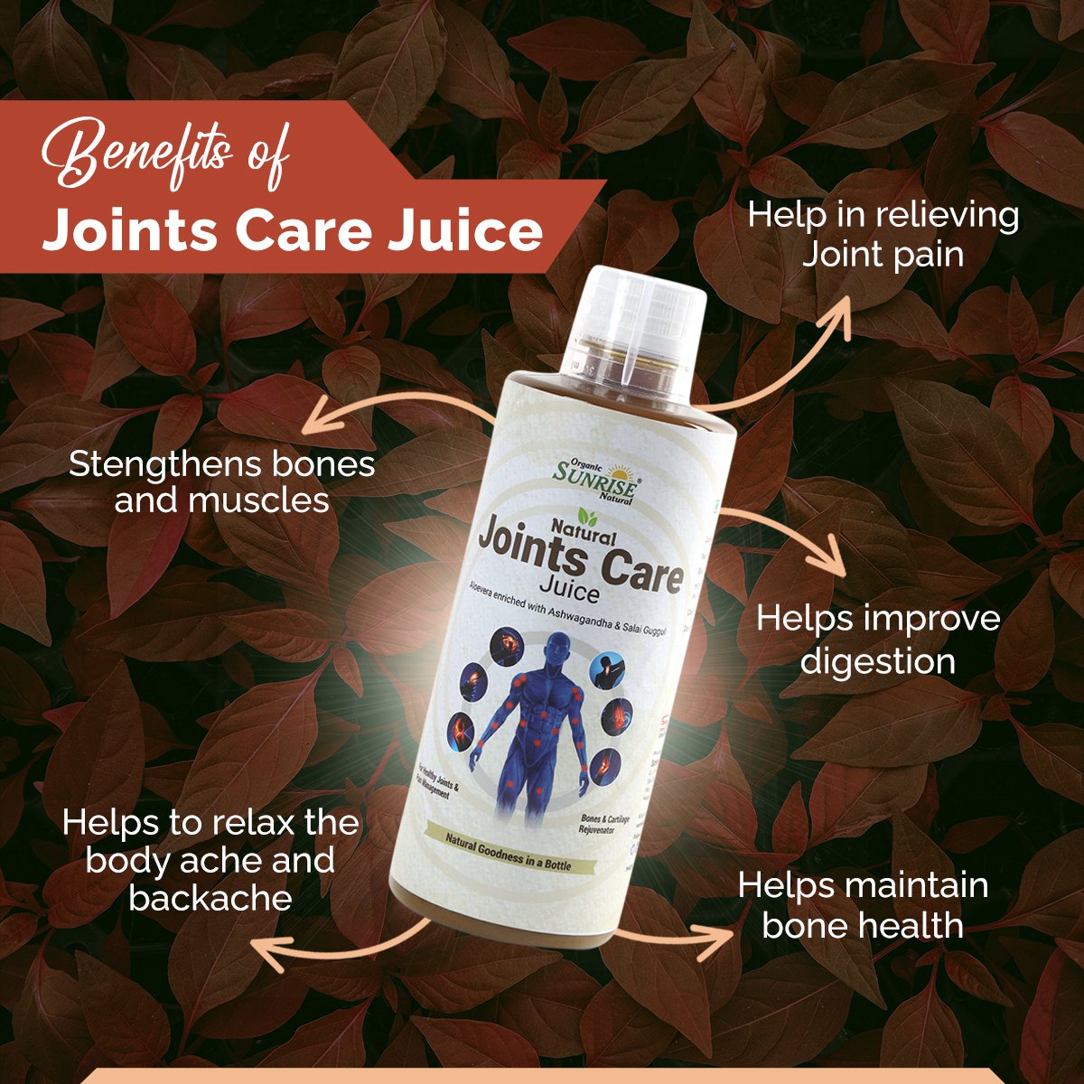 Joint Care Juice – Ayurvedic Joint Support & Bone Strength Drink for Pain Relief | Sunrise Agriland