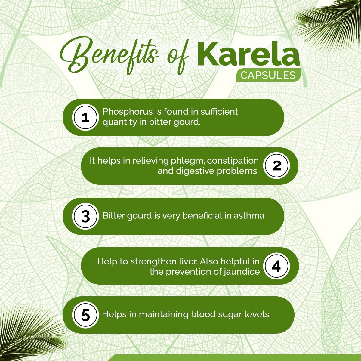 Karela Capsules – Blood Sugar Management, Detox & Metabolism Support | Sunrise Agriland