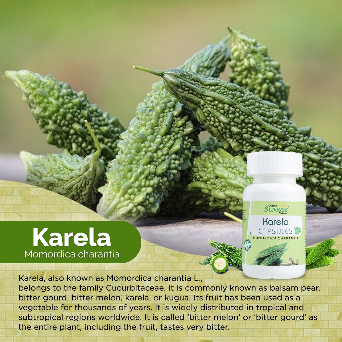 Karela Capsules – Blood Sugar Management, Detox & Metabolism Support | Sunrise Agriland