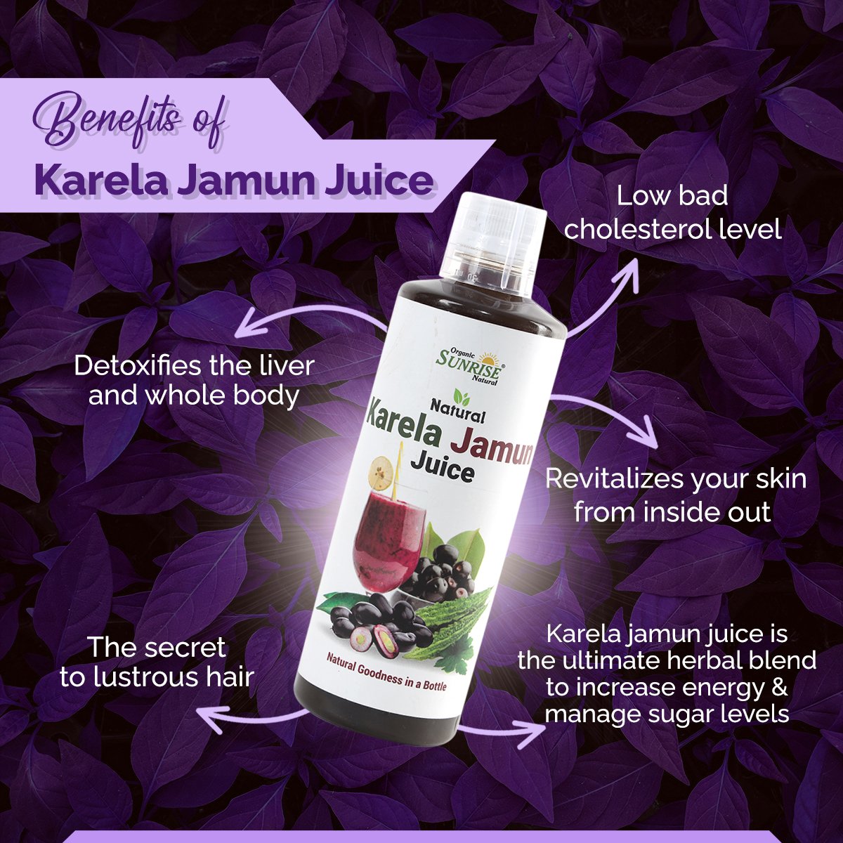Karela Jamun Juice – Natural Blood Sugar Support & Diabetes Care Drink | Sunrise Agriland