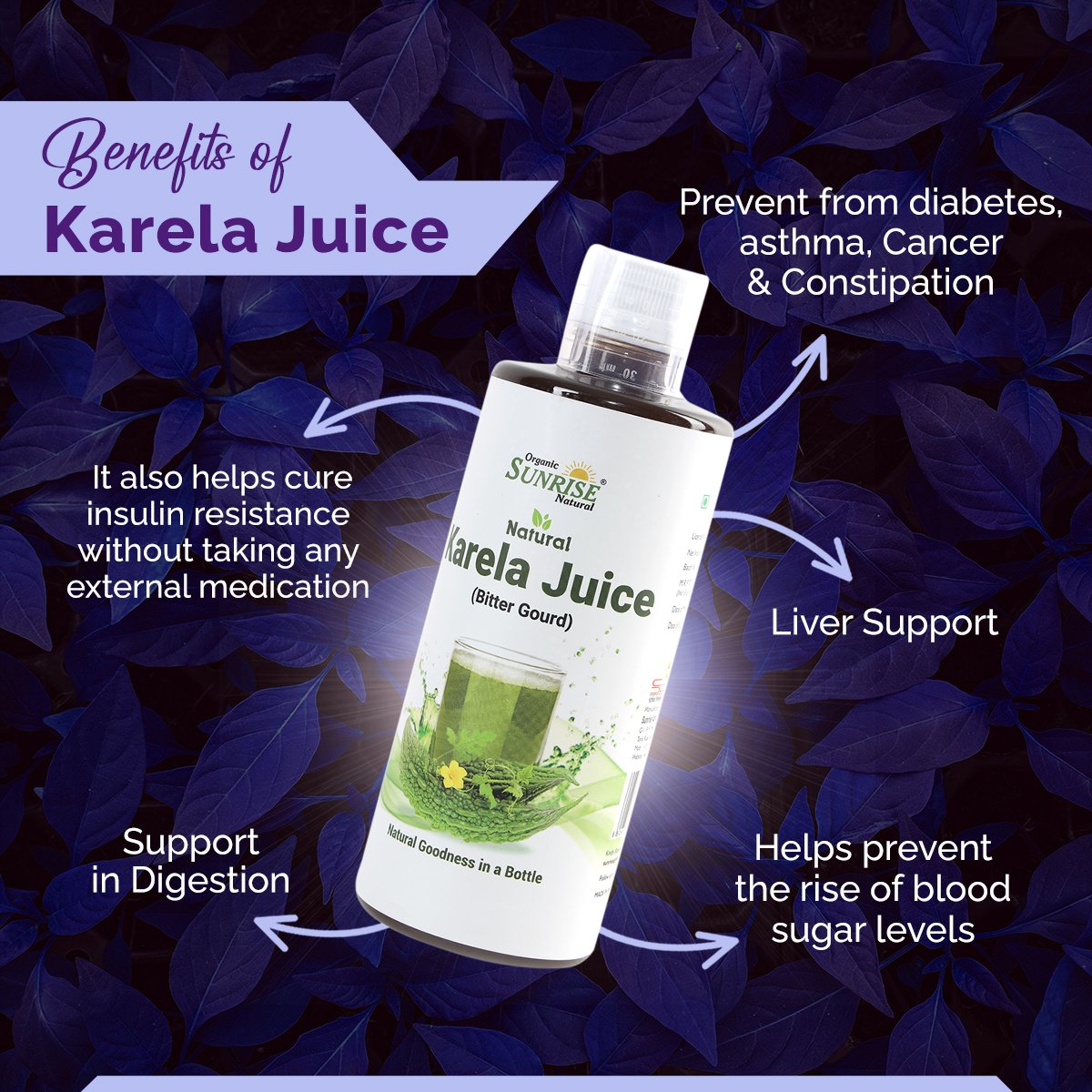 Karela Juice – Natural Blood Sugar Support Drink for Detox & Digestion | Sunrise Agriland
