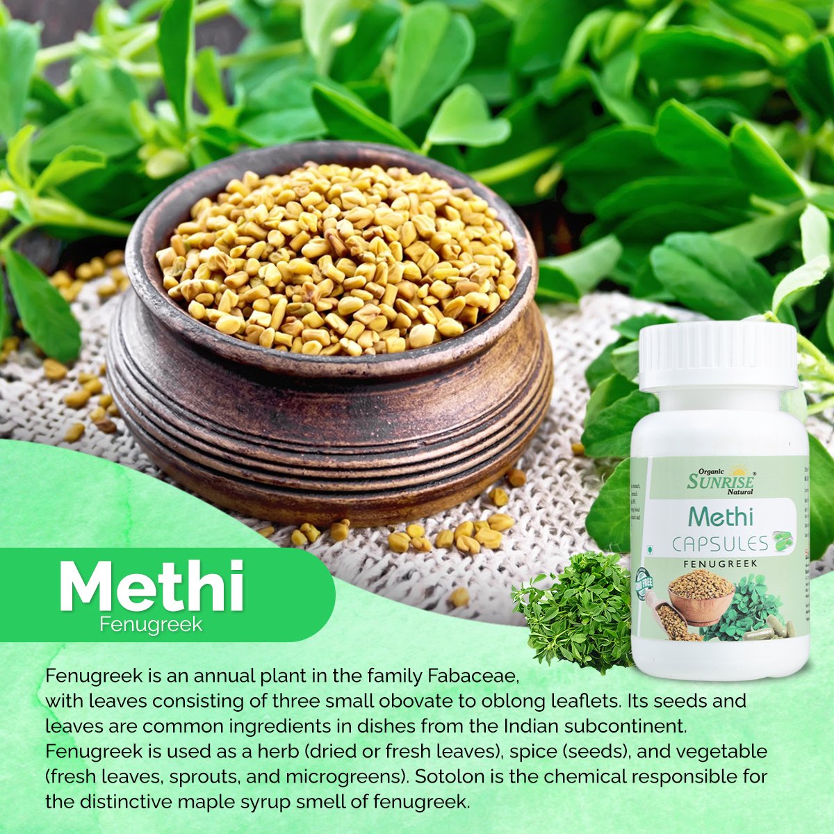 Methi Capsules – Sugar Balance & Digestive Support | Sunrise Agriland