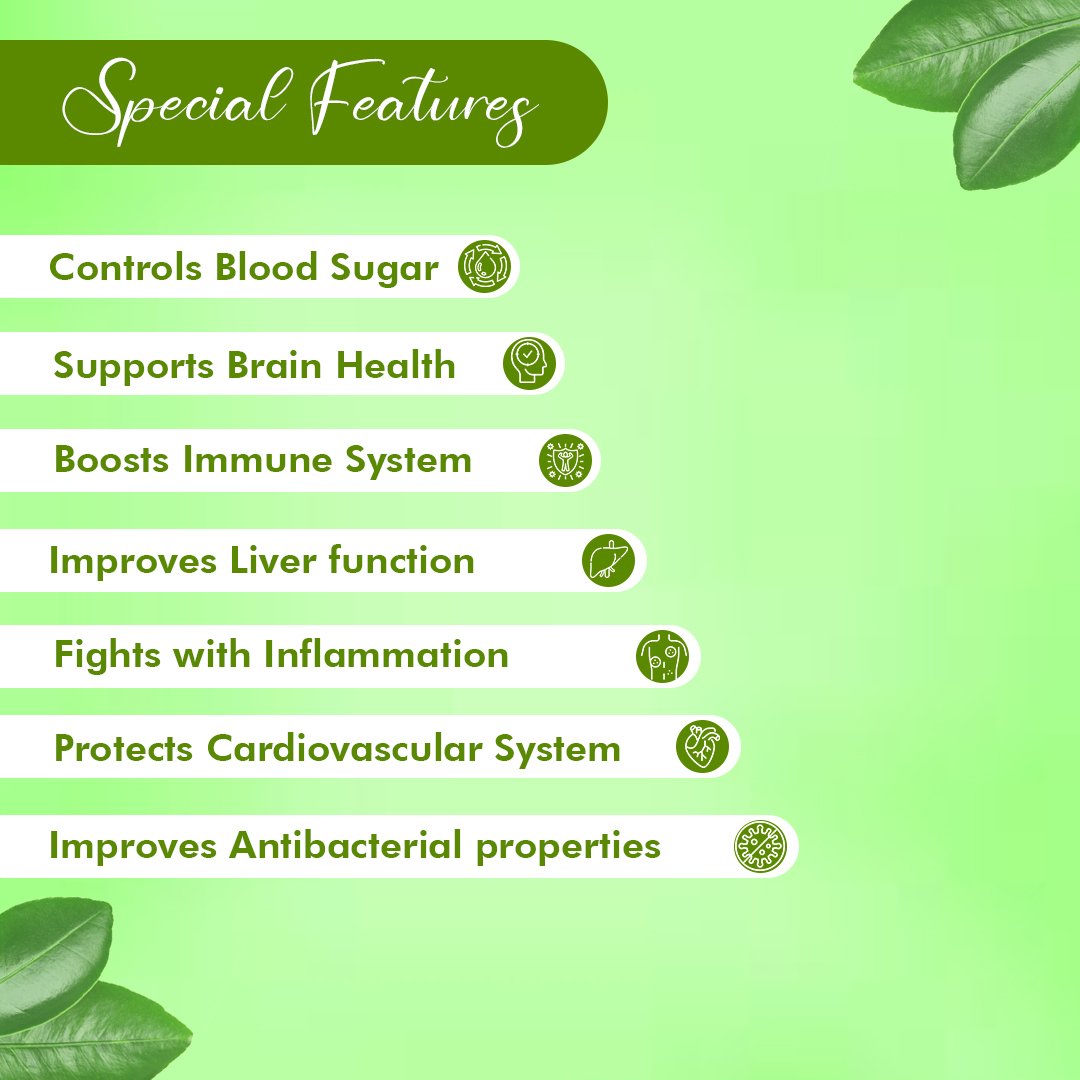 Moringa Powder – Ayurvedic Superfood for Energy, Immunity & Daily Nutrition | Sunrise Agriland