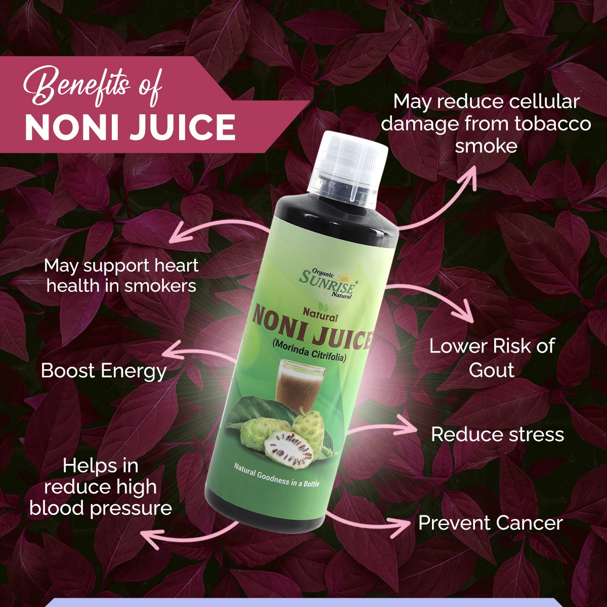 Noni Juice – Powerful Antioxidant Drink for Immunity, Energy & Wellness | Sunrise Agriland
