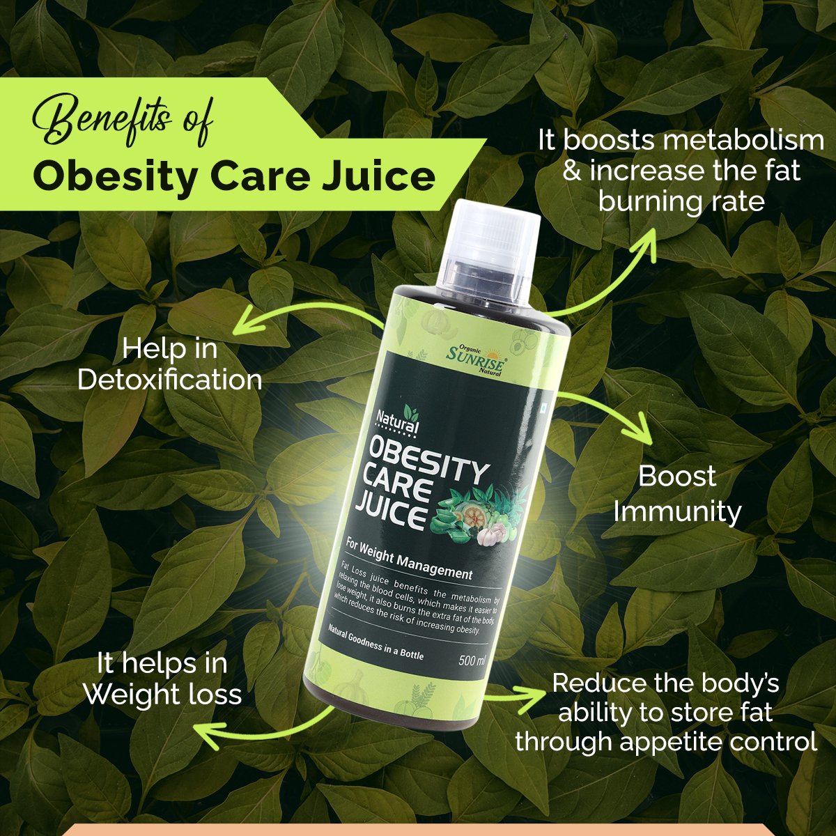 Obesity Care Juice – Ayurvedic Weight Management & Fat Burn Support Drink | Sunrise Agriland