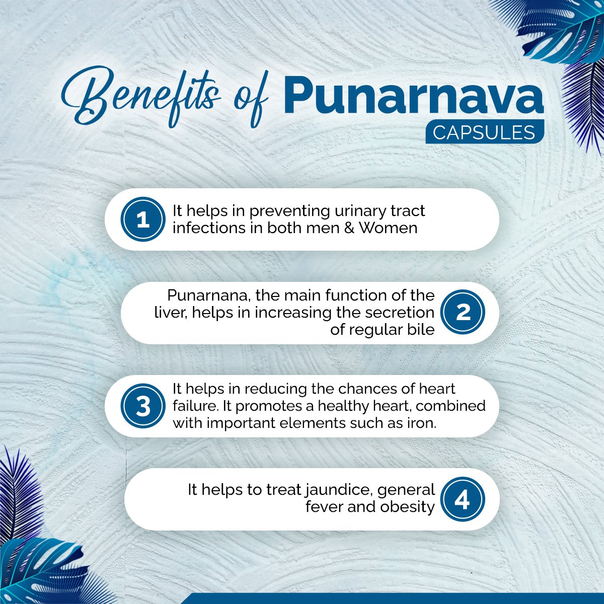 Punarnava Capsules – Kidney Support, Water Balance & Detox Support | Sunrise Agriland