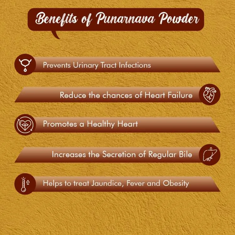 Punarnava Powder – Kidney Support, Water Balance & Wellness | Sunrise Agriland