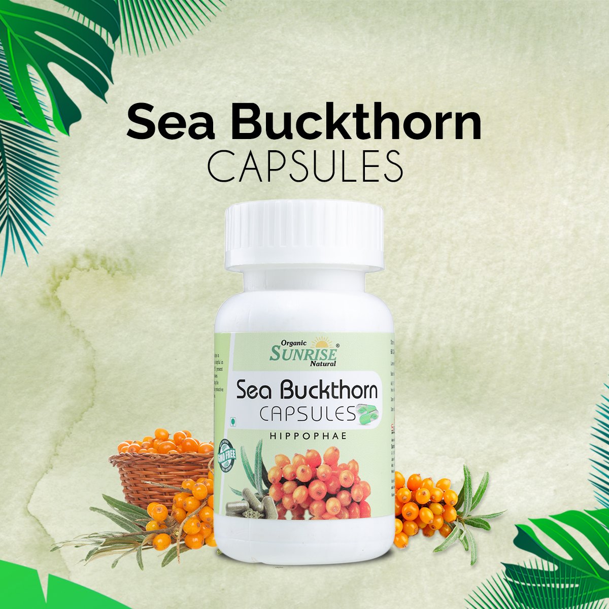 Sea Buckthorn Capsules – Skin Glow, Immunity & Antioxidant Support | Sunrise Agriland