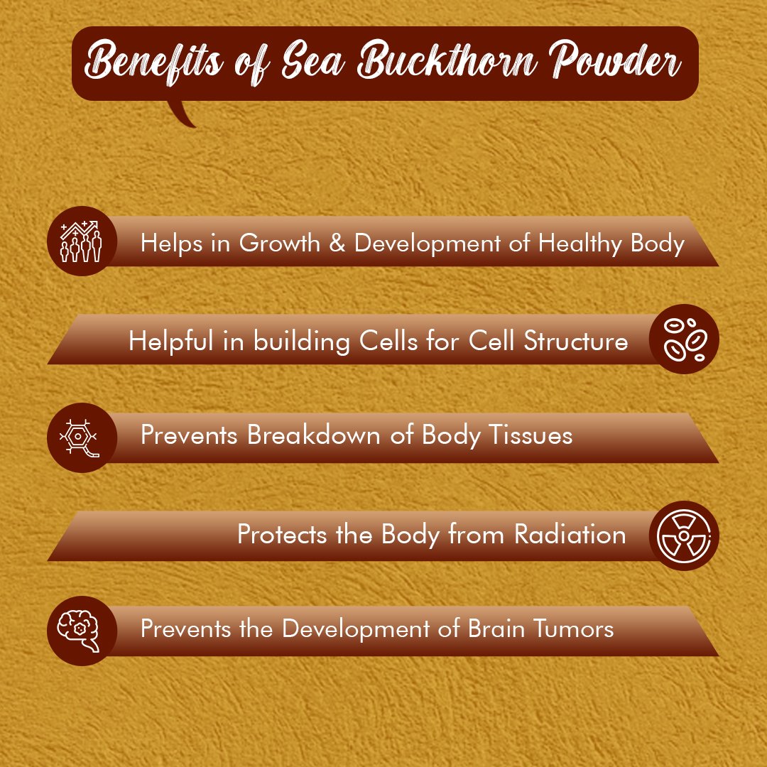 Sea Buckthorn Powder – Skin Glow, Immunity & Anti-Aging Support | Sunrise Agriland