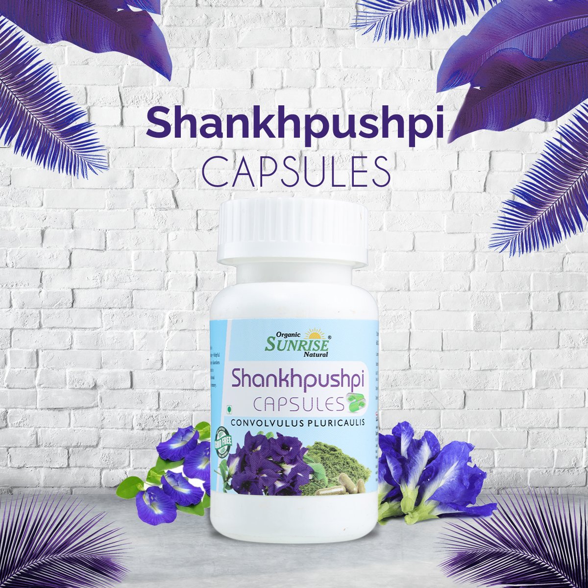 Shankhpushpi Capsules – Memory, Focus & Stress Support | Sunrise Agriland