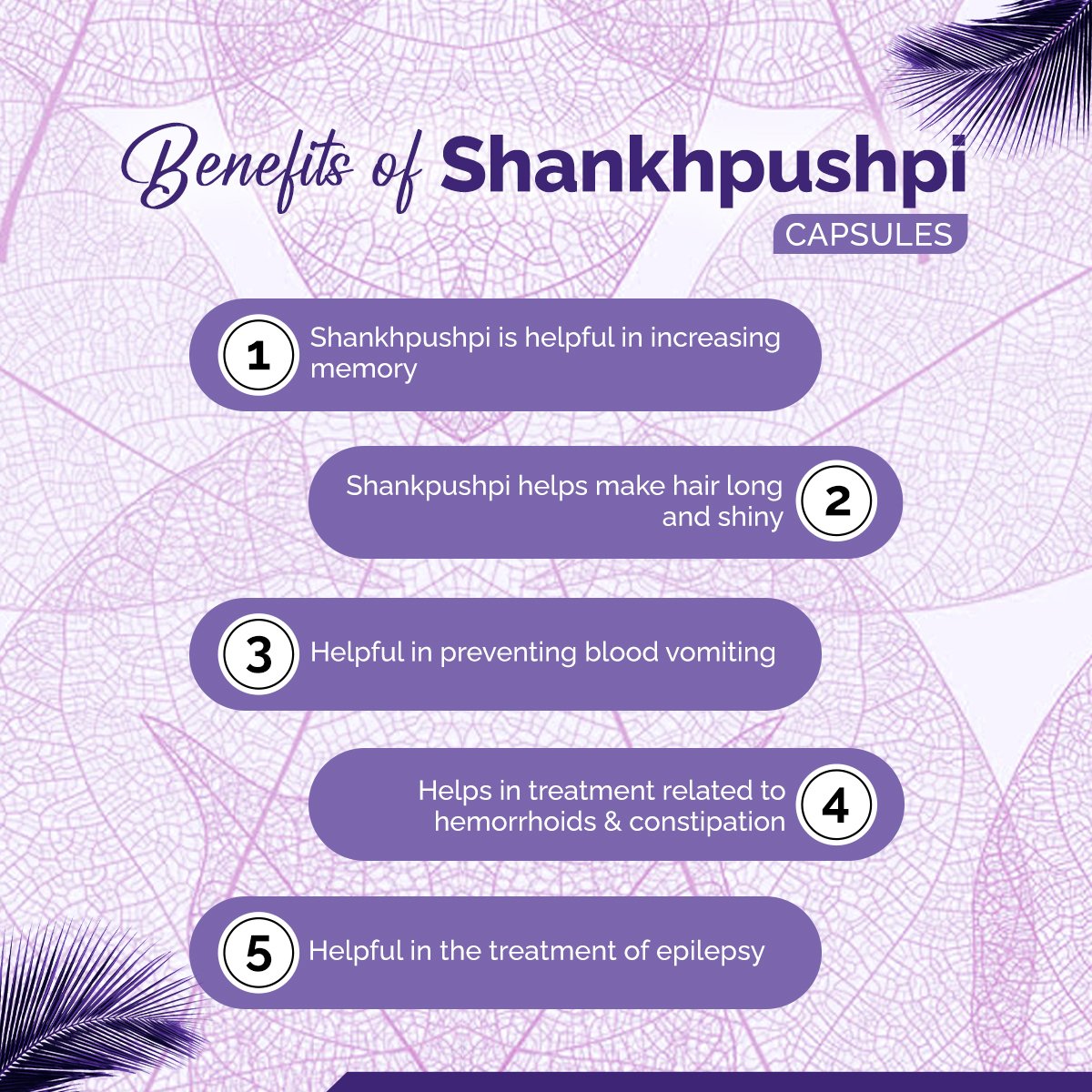 Shankhpushpi Capsules – Memory, Focus & Stress Support | Sunrise Agriland