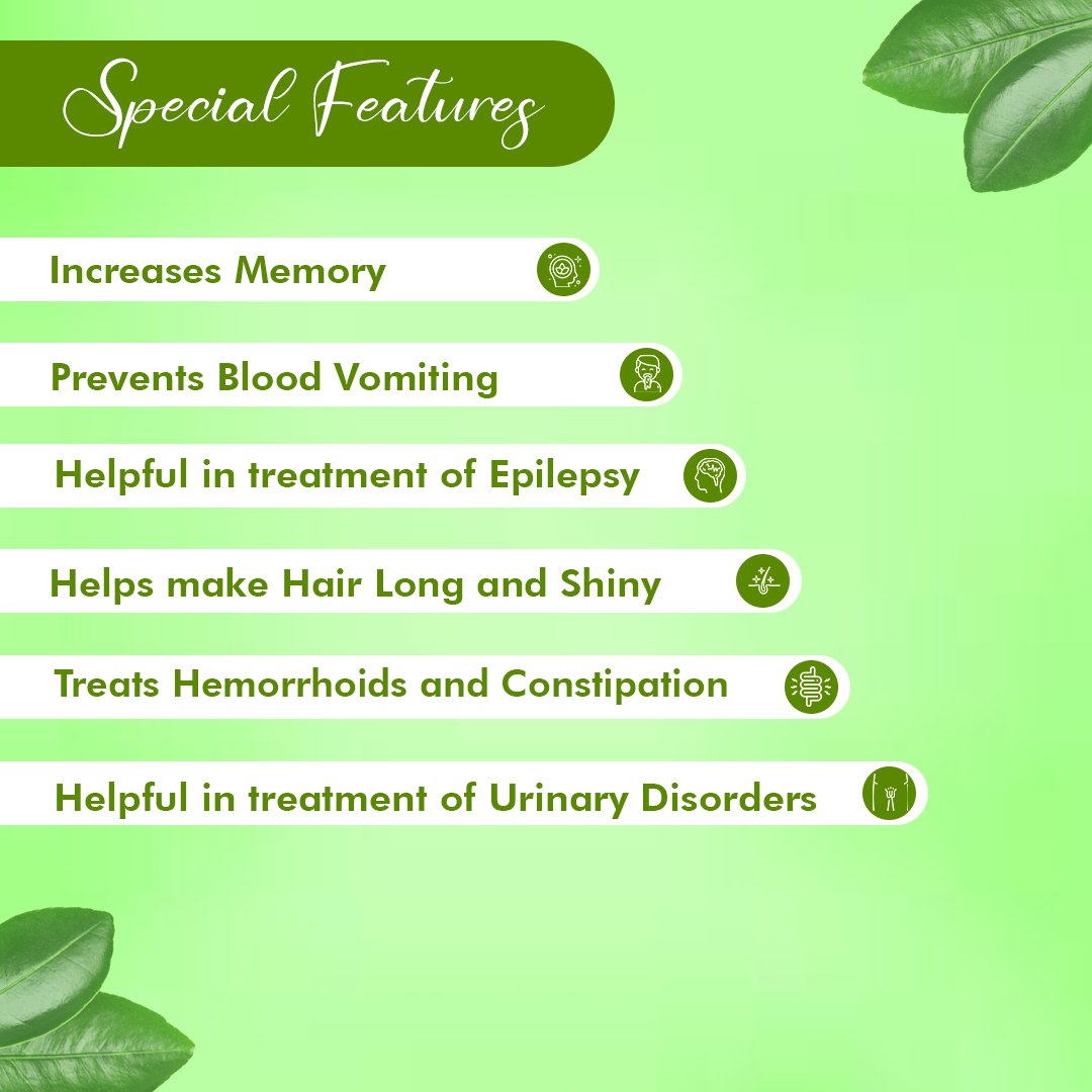 Shankhpushpi Powder – Memory, Focus & Stress Support | Sunrise Agriland
