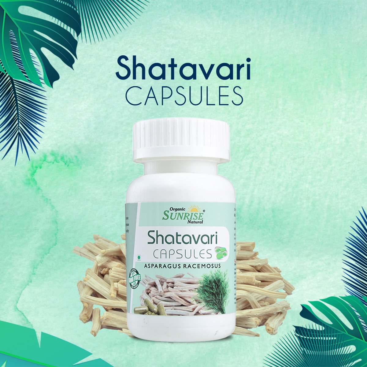 Shatavari Capsules – Women Health & Hormonal Balance Support | Sunrise Agriland