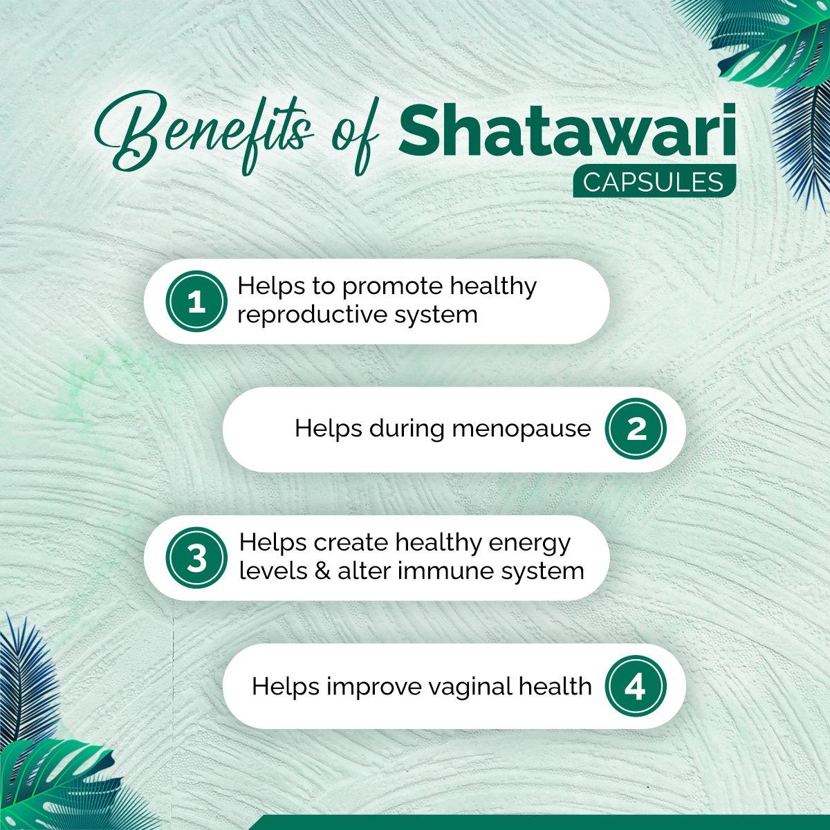 Shatavari Capsules – Women Health & Hormonal Balance Support | Sunrise Agriland