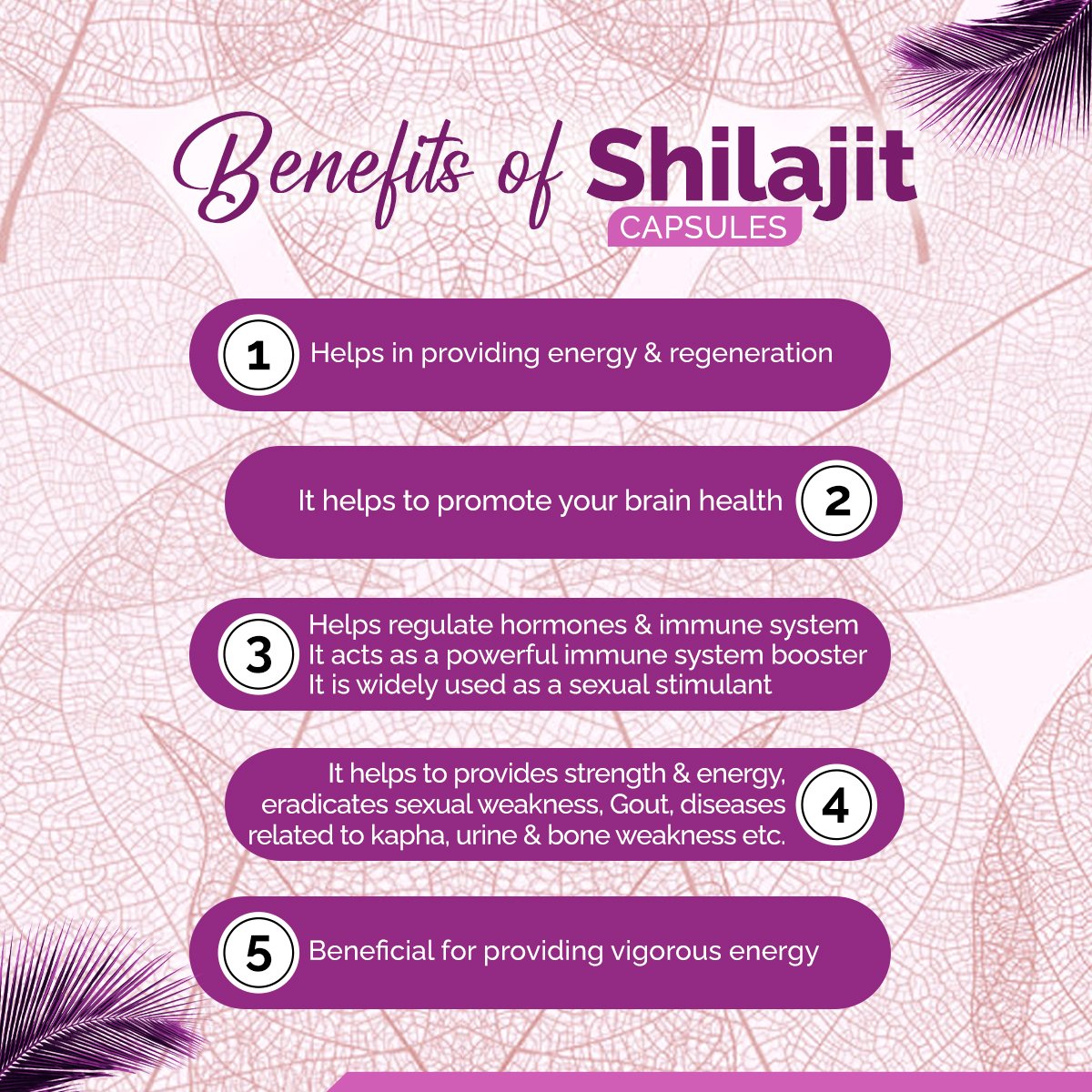 Shilajit Capsules – Energy, Stamina & Vitality Support | Sunrise Agriland