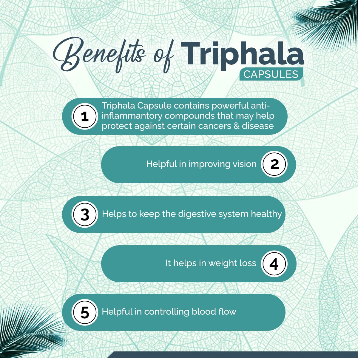 Triphala Capsules – Digestion, Gut Cleanse & Regularity Support | Sunrise Agriland