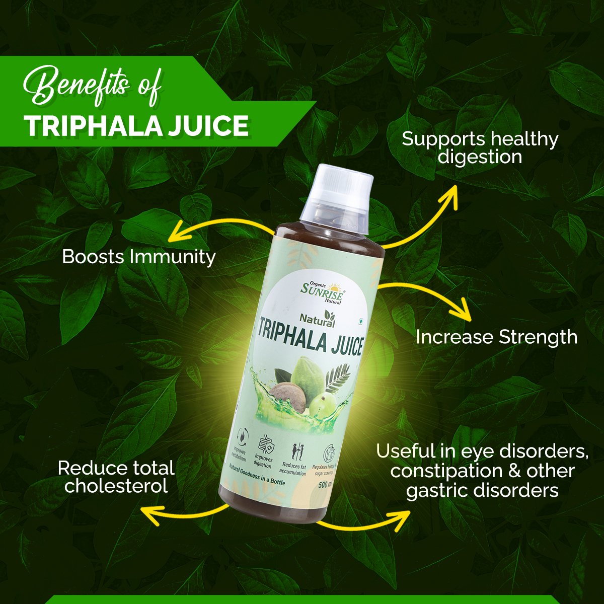 Triphala Juice – Ayurvedic Detox Drink for Gut Health, Digestion & Immunity | Sunrise Agriland