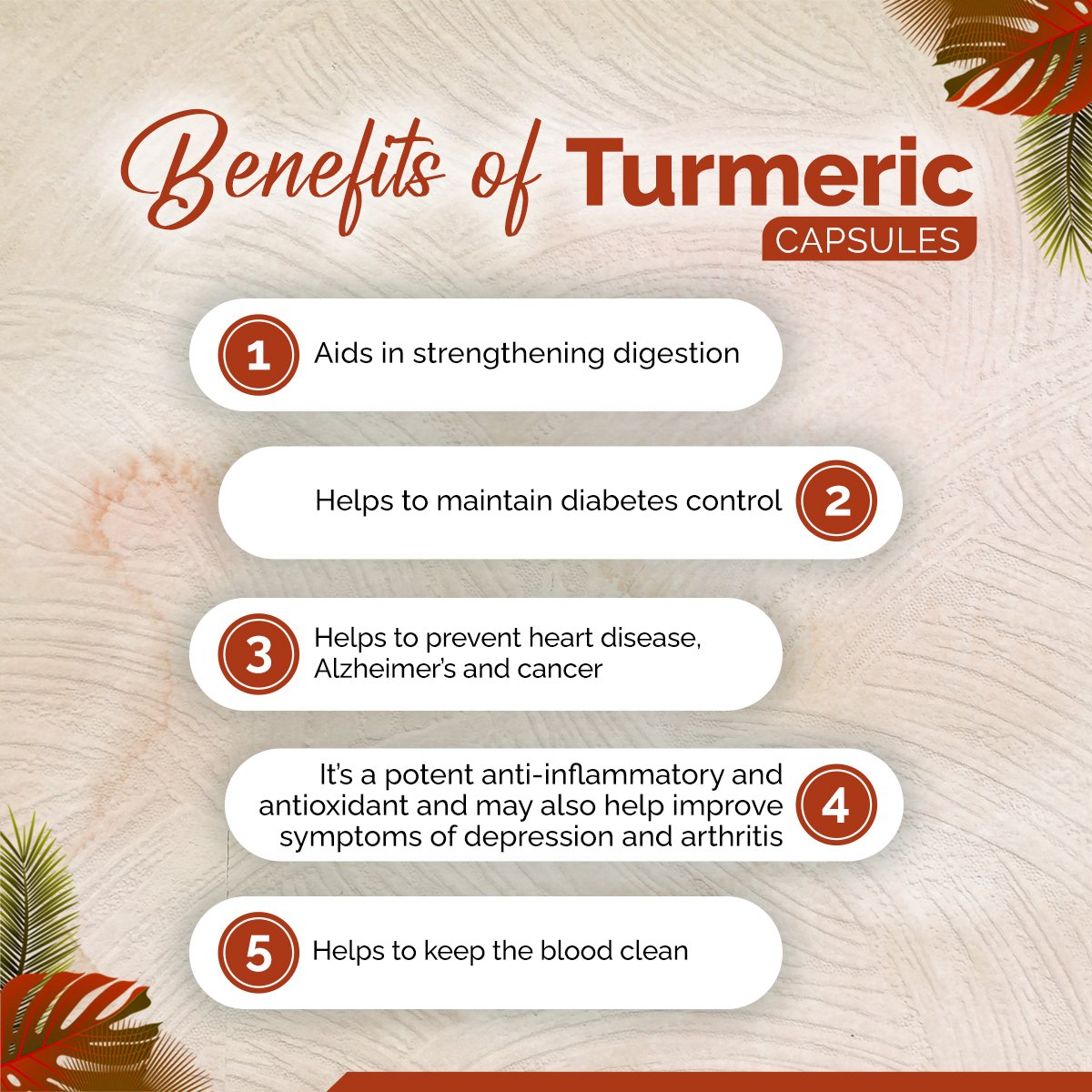 Turmeric Capsules – Immunity, Antioxidant & Inflammation Support | Sunrise Agriland