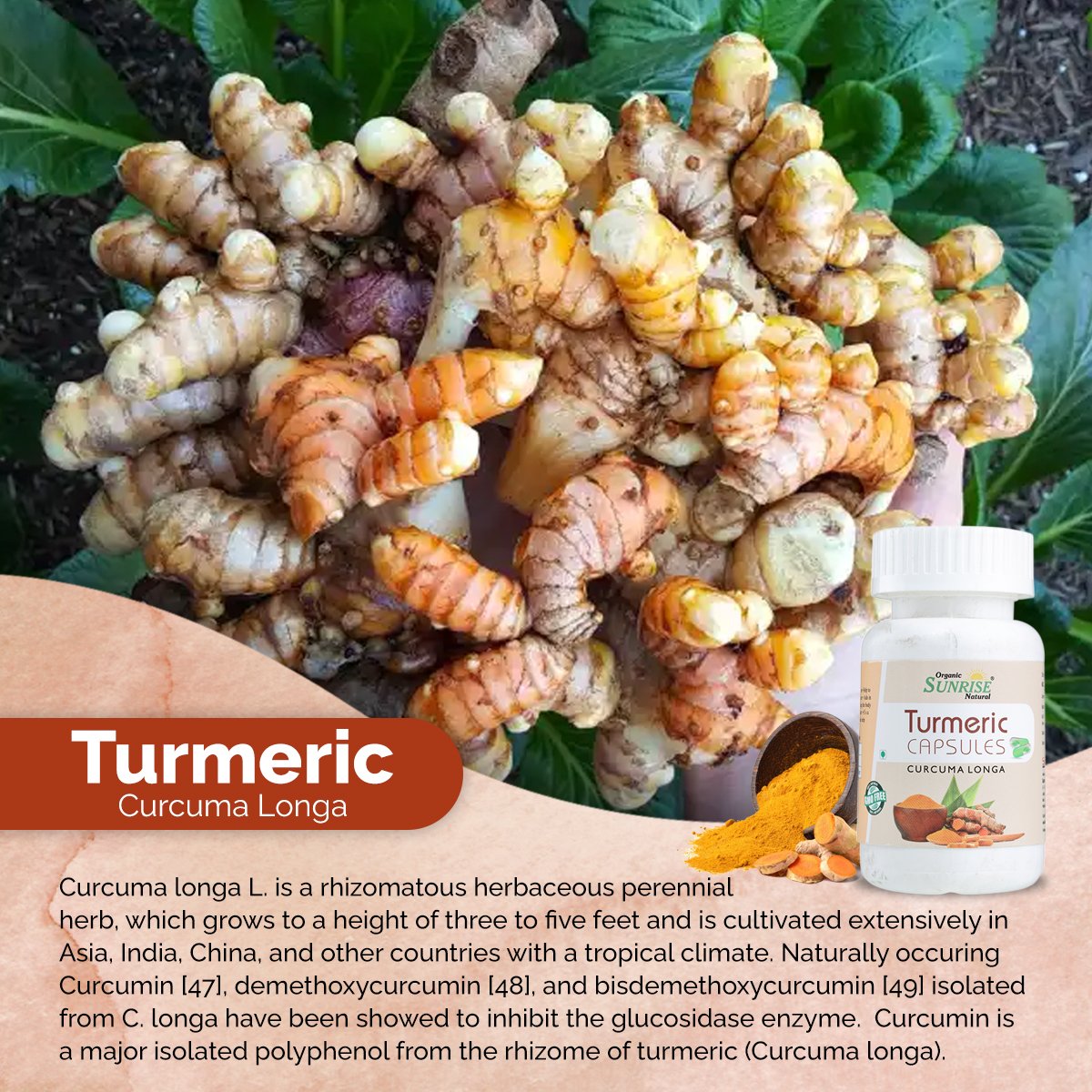 Turmeric Capsules – Immunity, Antioxidant & Inflammation Support | Sunrise Agriland