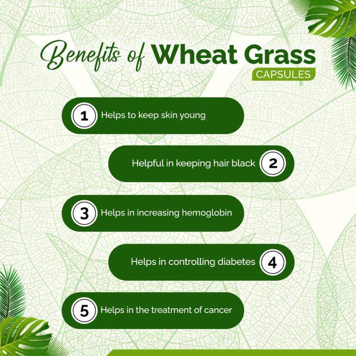 Wheat Grass Capsule