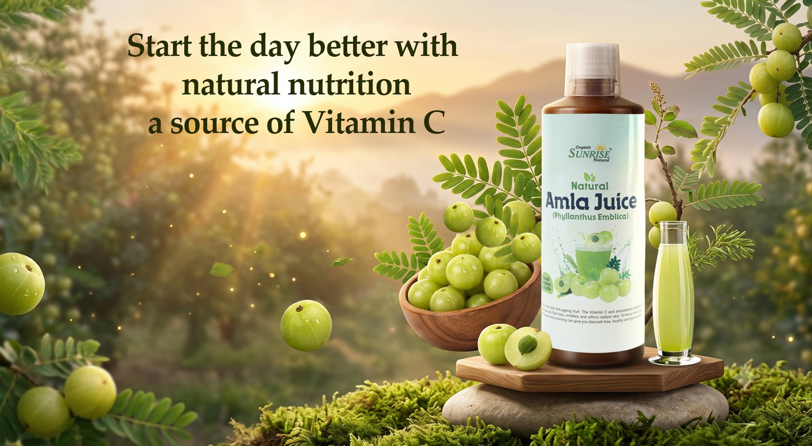Amla Juice – Natural Immunity Booster for Skin, Hair & Digestion | Sunrise Agriland