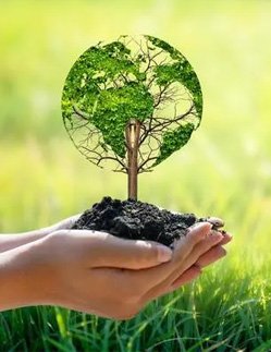 Environmental Wellness