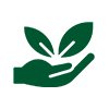 Environmental Wellness